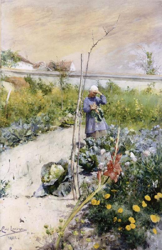 Carl Larsson IN Kokstradgarden France oil painting art